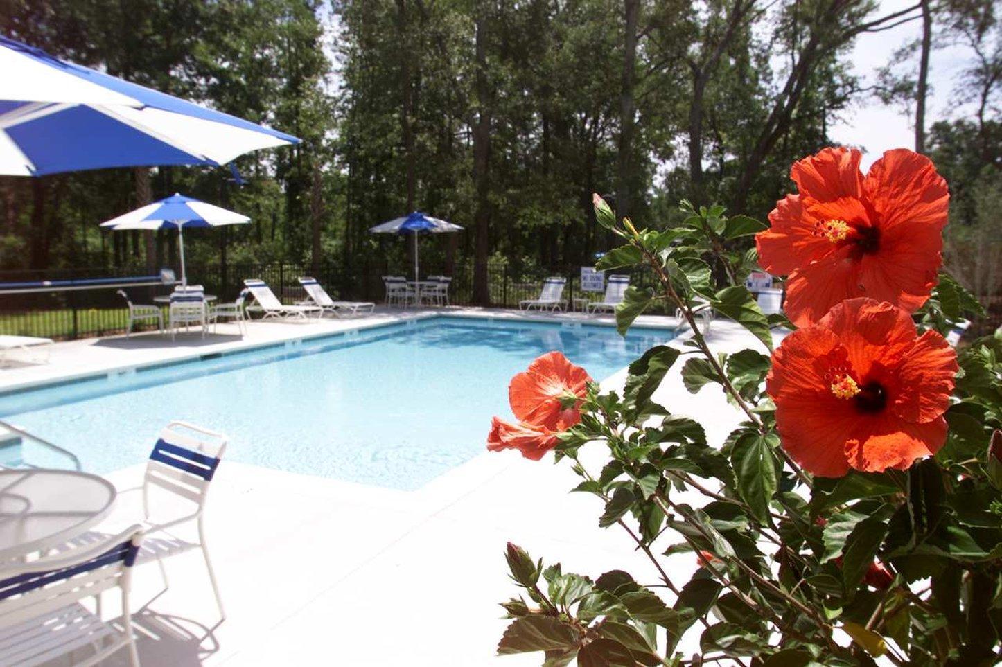 Hampton Inn Charleston-Daniel Island Esterno foto